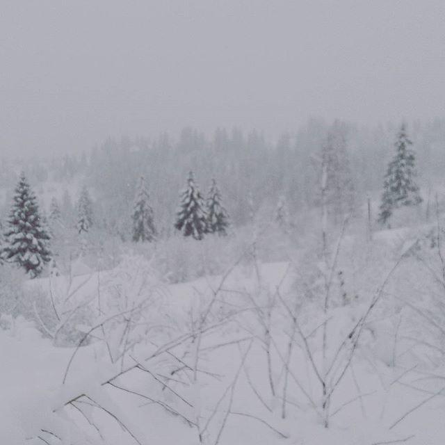 Zacharovany Karpaty Slawske Exterior foto