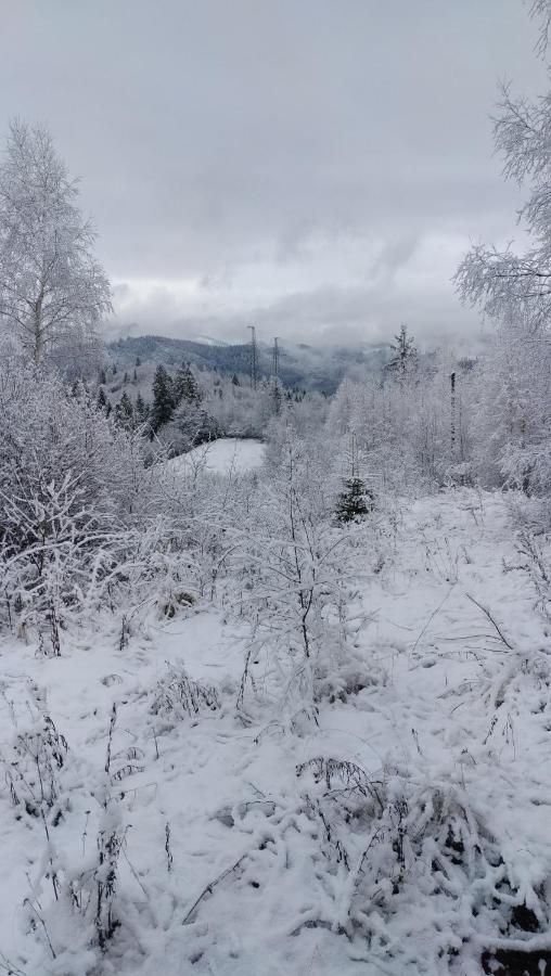 Zacharovany Karpaty Slawske Exterior foto